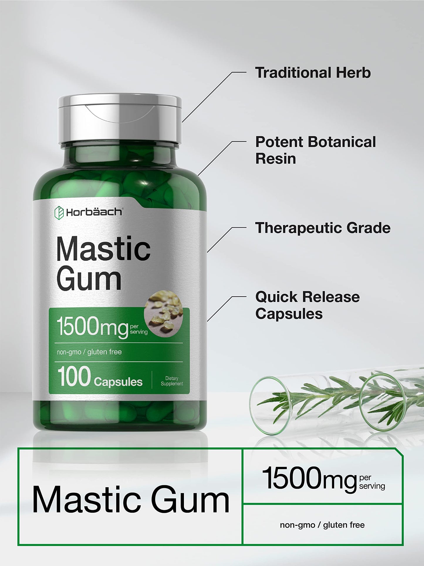 Horbäach Mastic Gum | 1500mg | 100 Capsules | Non-GMO & Gluten Free Supplement