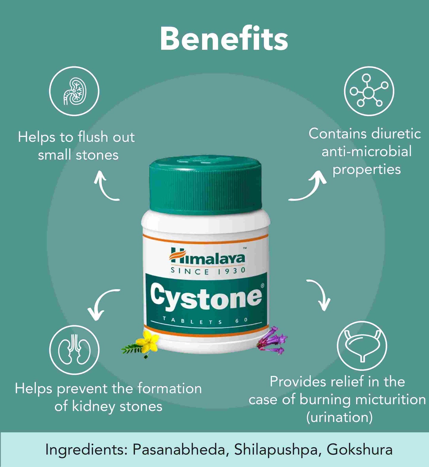 Himalaya Cystone Bottle Tablet 60s
