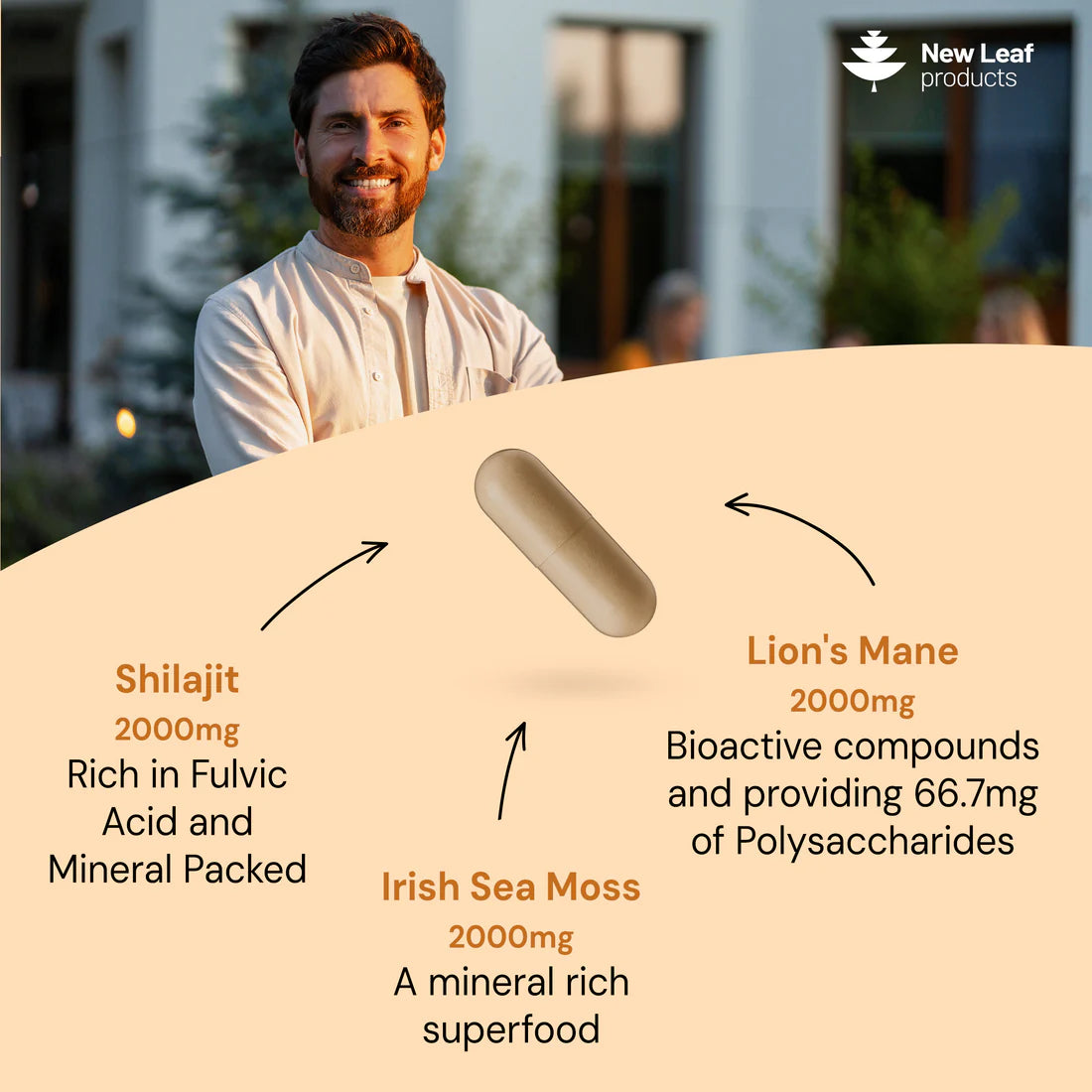 Shilajit, Sea Moss, Lion's Mane Capsules 2 Month Supply