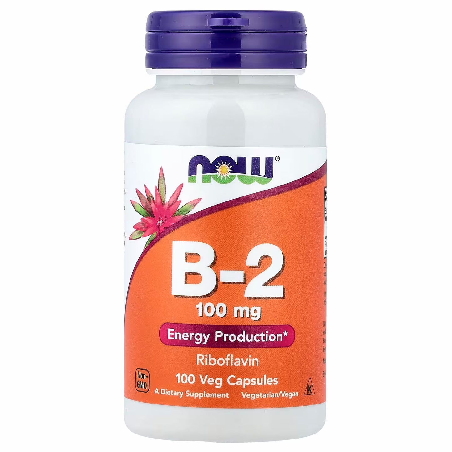 NOW Foods B2 B-2, 100 mg, 100 Veg Capsules