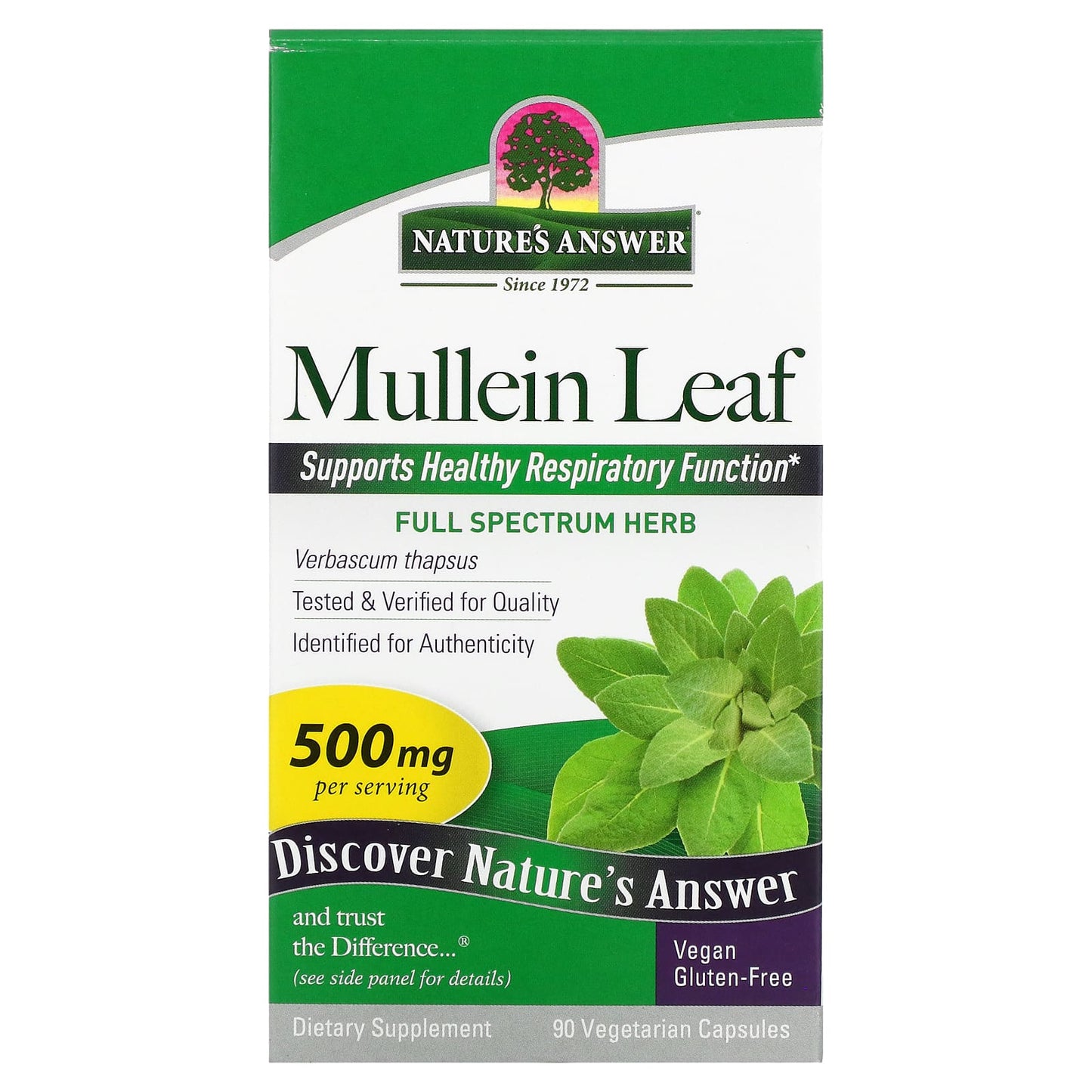 Nature's Answer Mullein Leaf supplement packaging on a white background