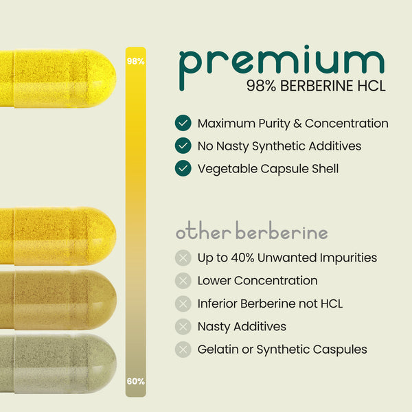 Vitabright Berbérine HCL Gélules
90 Gélules ~ 1 à 3 Mois d'Utilisation